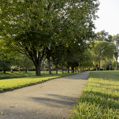 Memorial Park walking trail with trees along the side